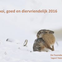 haas in de sneeuw als nieuwjaarswens van de faunabescherming