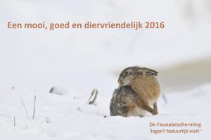 haas in de sneeuw als nieuwjaarswens van de faunabescherming