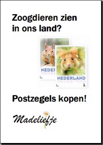 Poster Madeliefje