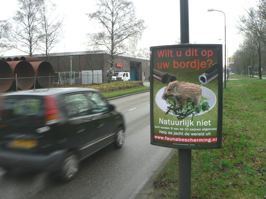 Zwijnenposter