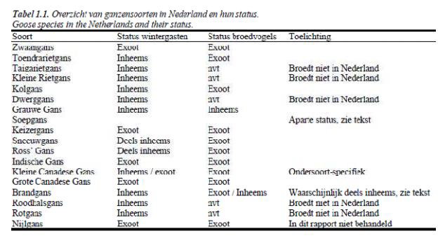 Tabel exoten