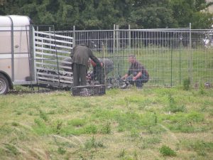 In Utrecht zijn in 2008 al grote groepen ganzen gevangen en vergast