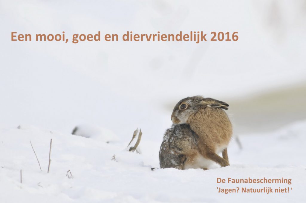 HaasNieuwjaarswens2016