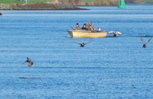 schieten vanuit een (snel) varende boot