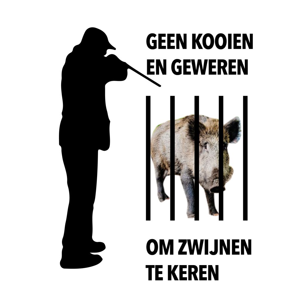 geen-kooien-en-geweren-om-zwijnen-te-keren, beeld: Cathleen van den Akker