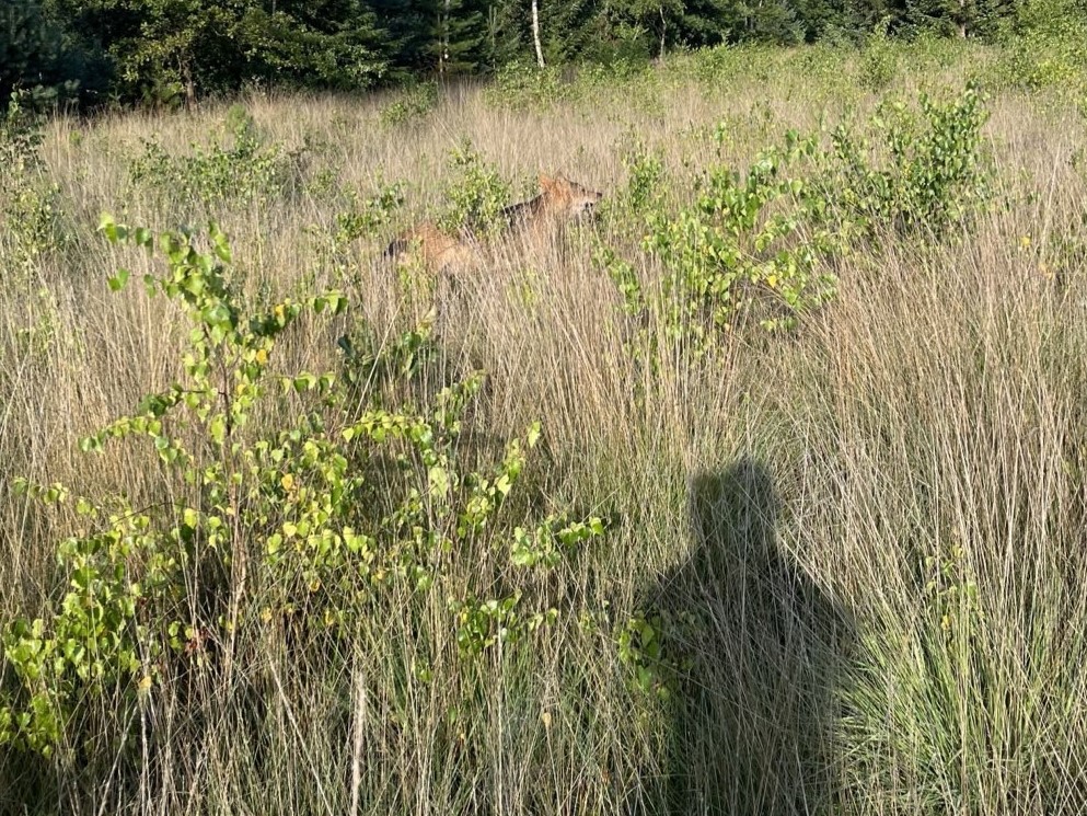 foto van X, met toestemming van de fotograaf