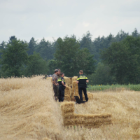 BOA Staatsbosbeheer en Politie bekeuren medewerkers van De Faunabescherming