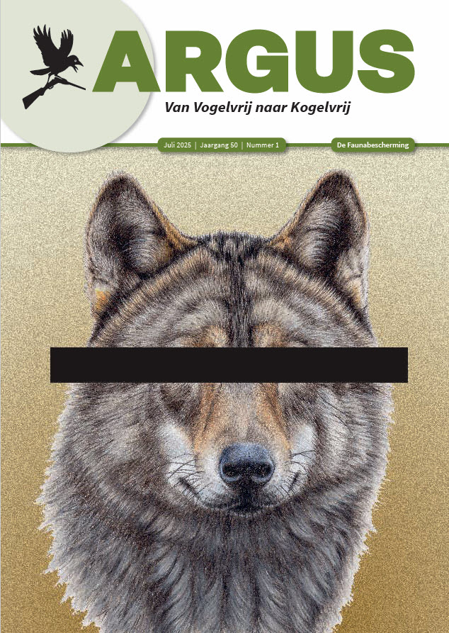 cover Argus 2025-1 illustratie Wandalin van den Abeele