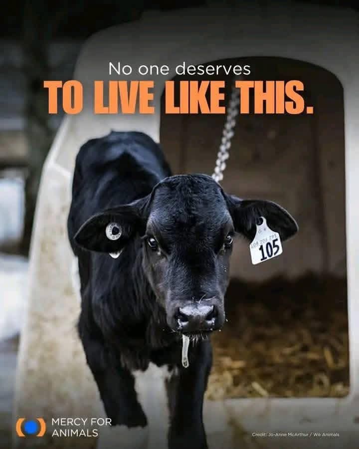 Image for the Tweet beginning: 😢😢😢 