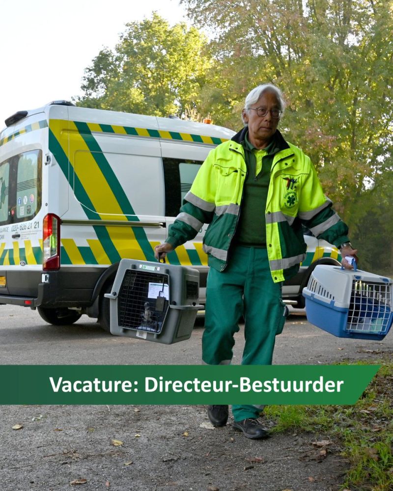 Image for the Tweet beginning: 🚨 Gezocht: Directeur-Bestuurder 

Ben jij