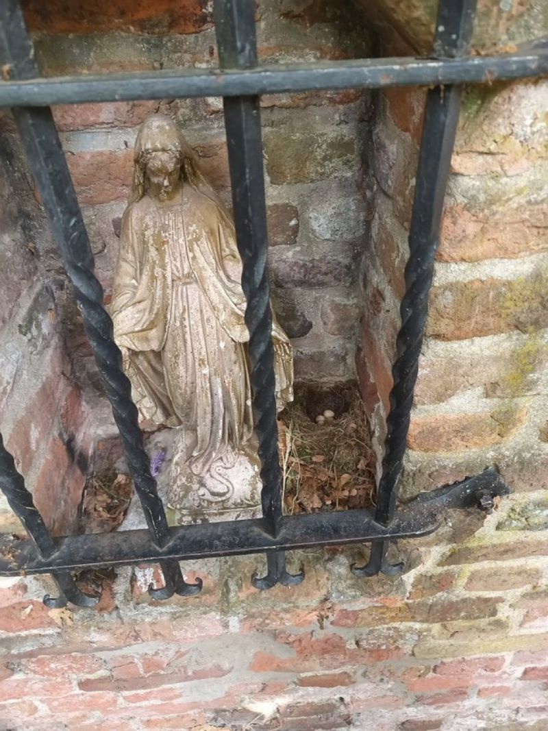 Image for the Tweet beginning: Roodborstverschijning in Mariakapelletje deze zomer