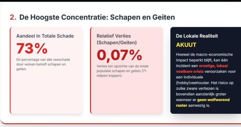 Image for the Tweet beginning: Bedrijfseconomische schade door de wolf