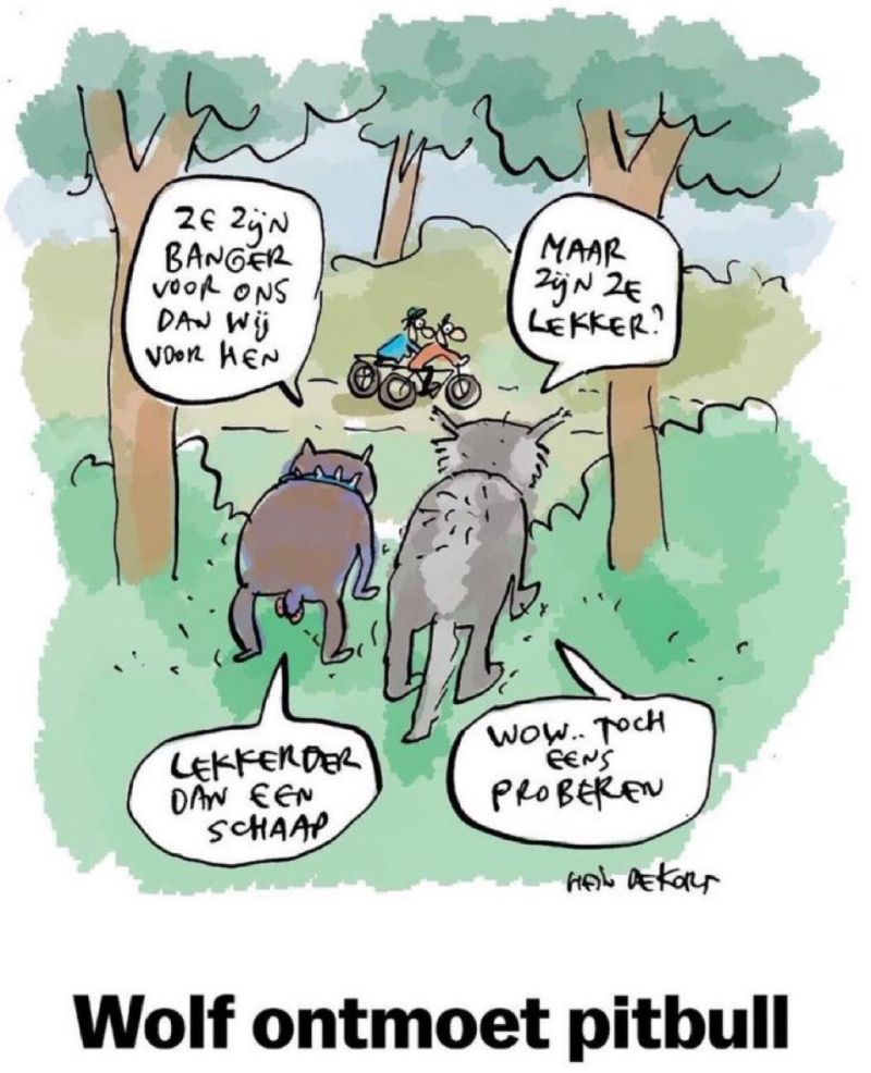 Image for the Tweet beginning: Pitbull geeft introductiecursus aan niets