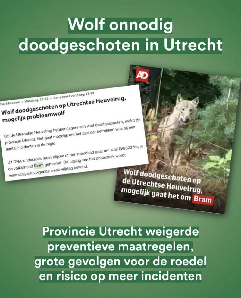 Image for the Tweet beginning: Partij voor de Dieren provincie