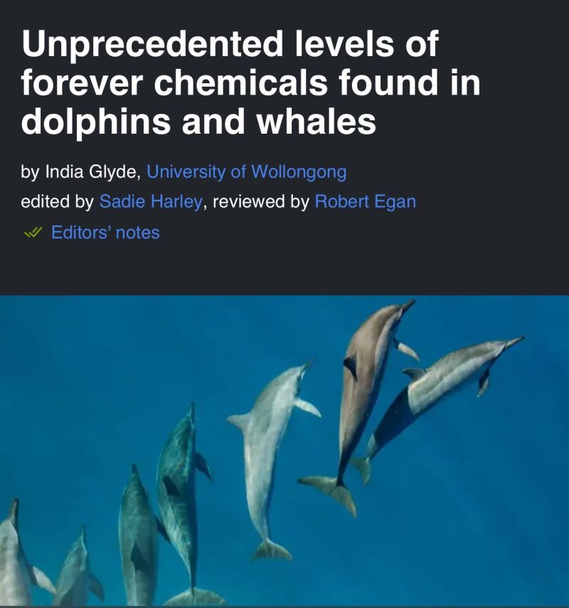 Image for the Tweet beginning: 🌏

We are poisoning the whole