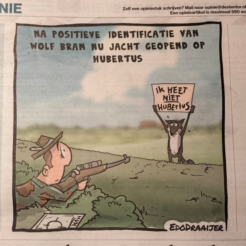 Image for the Tweet beginning: Mijn naam is Haas 🐺