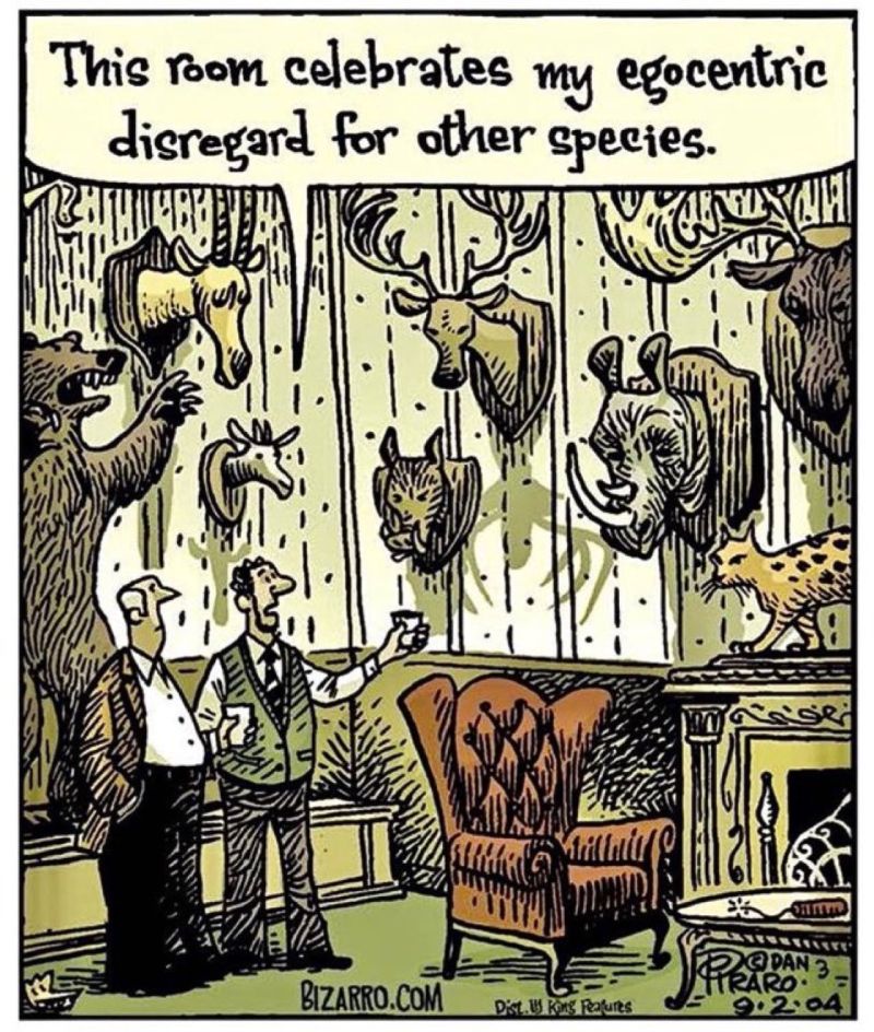 Image for the Tweet beginning: Mancave @pirarobizarro 📯 