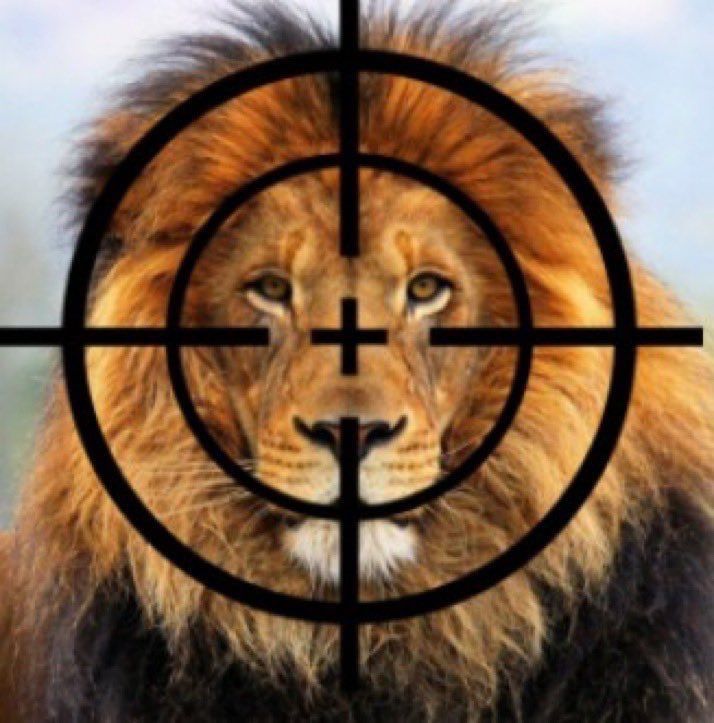 Image for the Tweet beginning: Would you support a WORLDWIDE