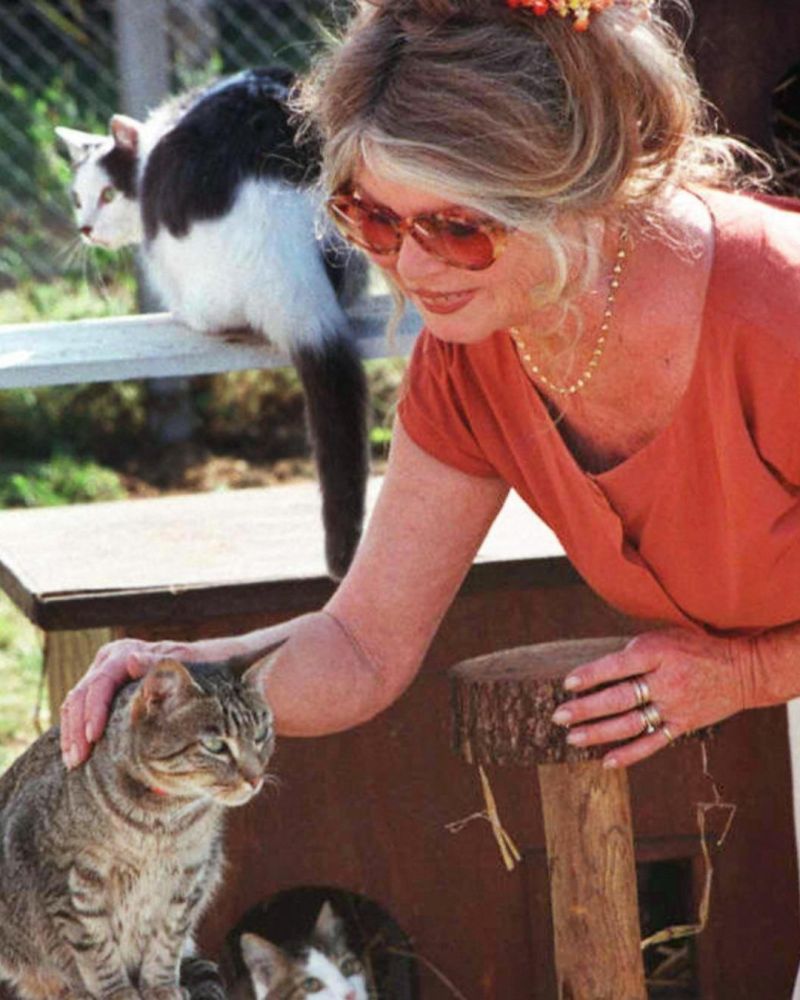 Image for the Tweet beginning: La SPA rend hommage à