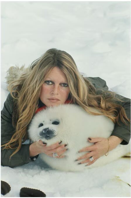 Image for the Tweet beginning: #RIP #BrigitteBardot, défenseure des droits