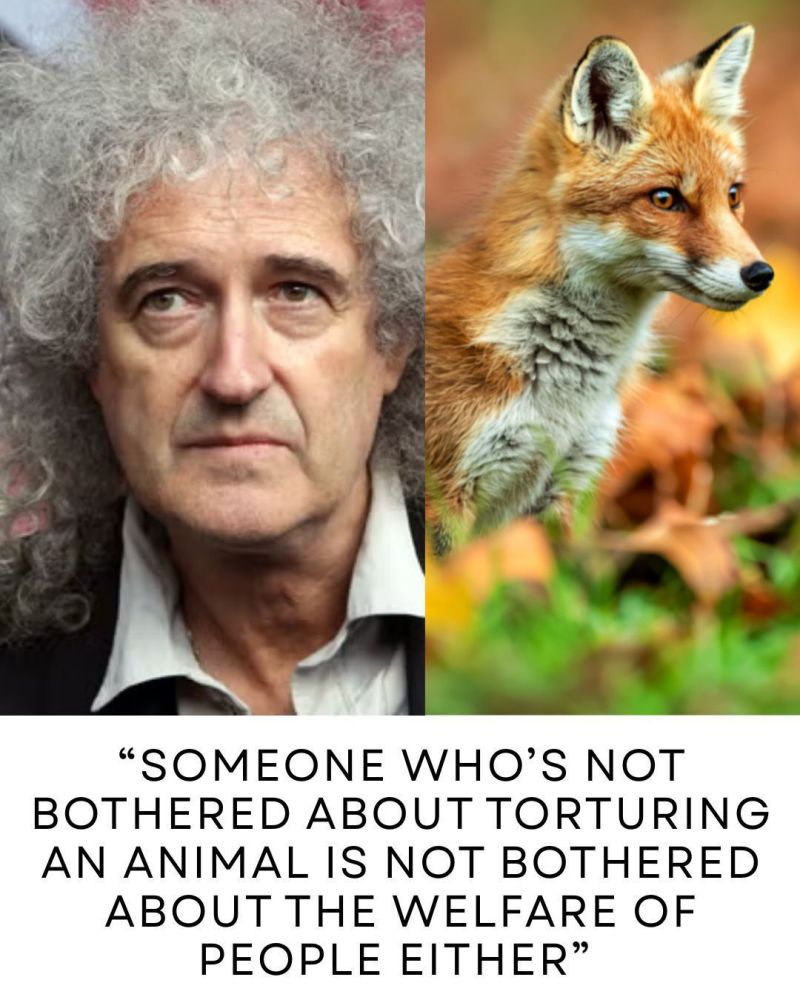 Image for the Tweet beginning: Sir Brian May is bang