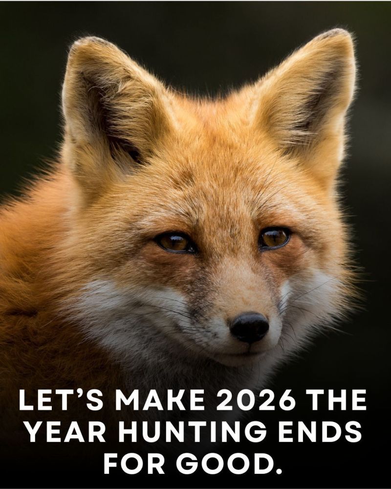 Image for the Tweet beginning: Damn right! 