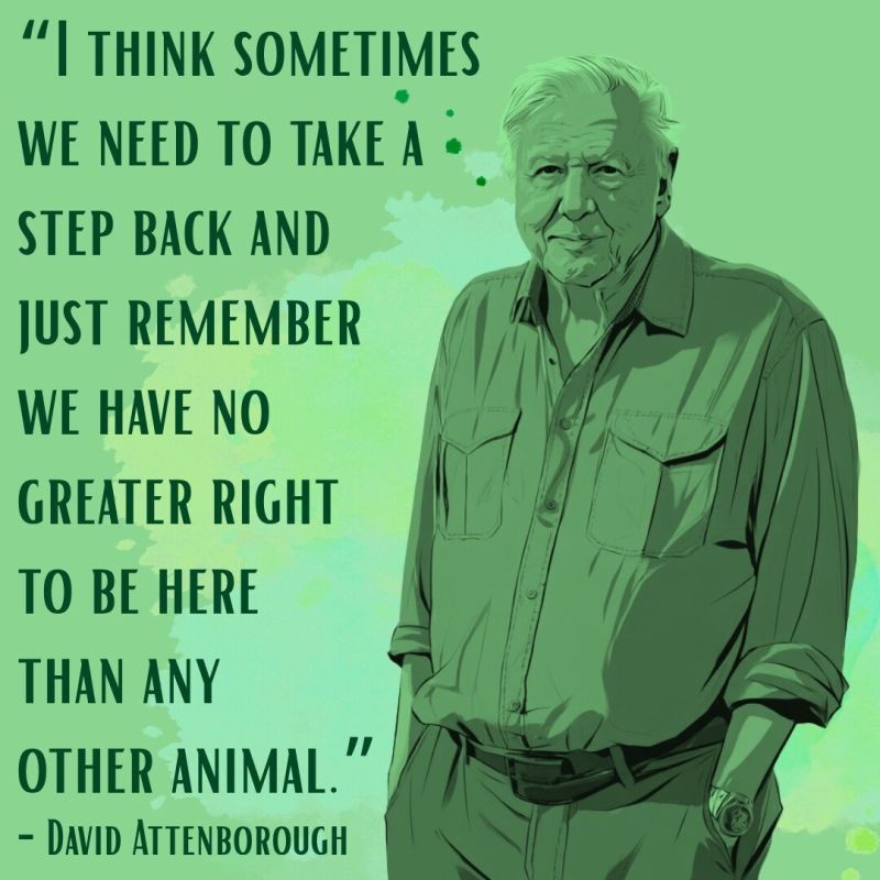 Image for the Tweet beginning: Great quote from David Attenborough!