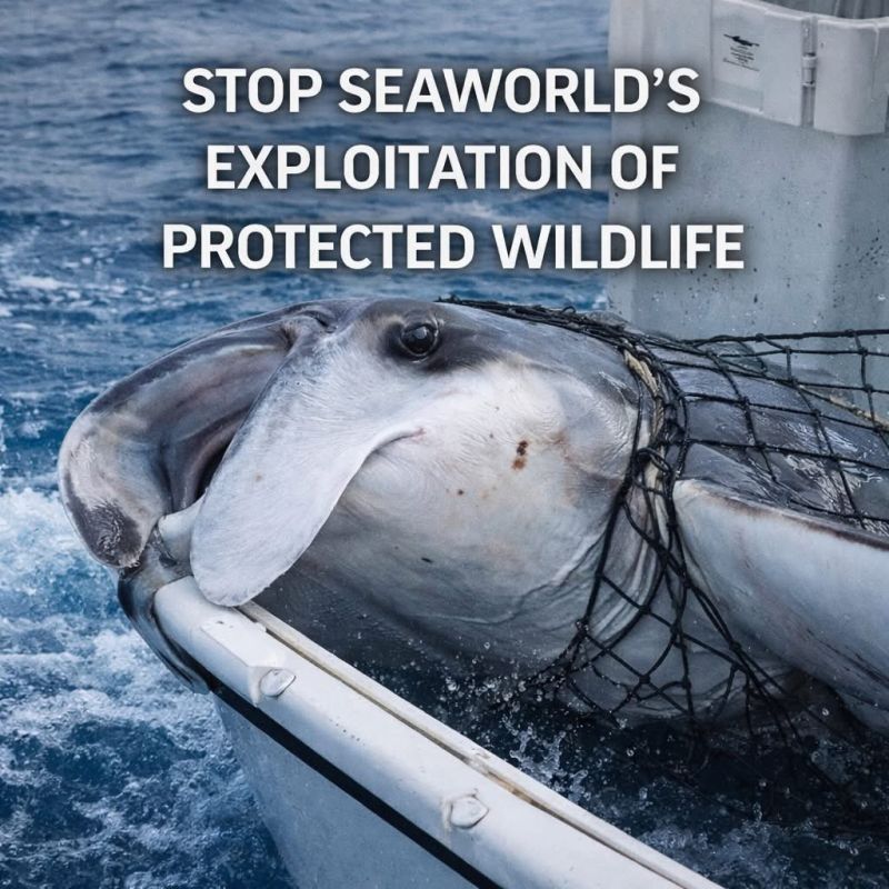 Image for the Tweet beginning: Near the shores of Panama