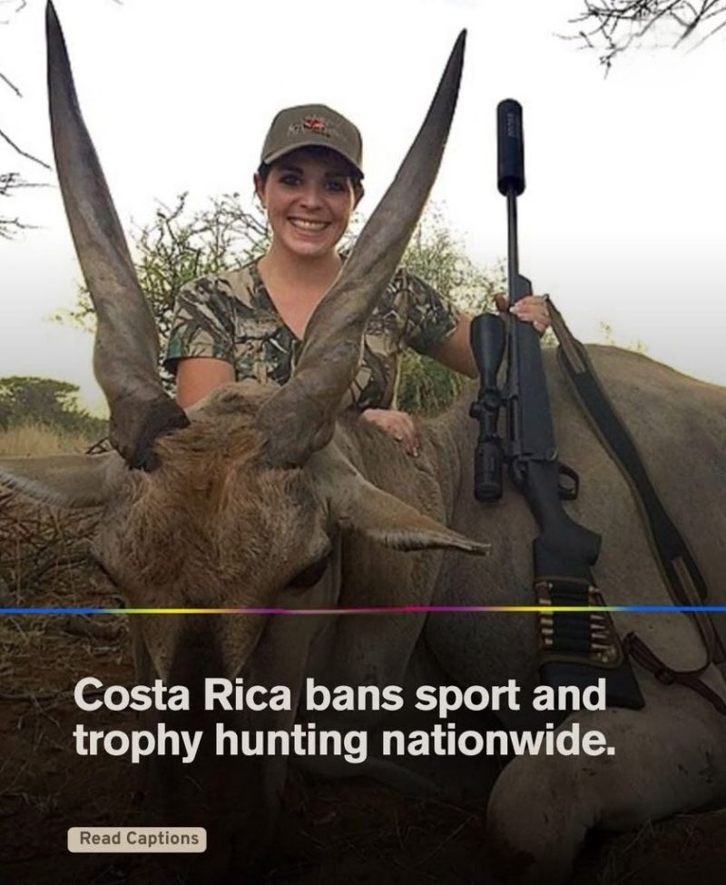 Image for the Tweet beginning: Well done Costa Rica 