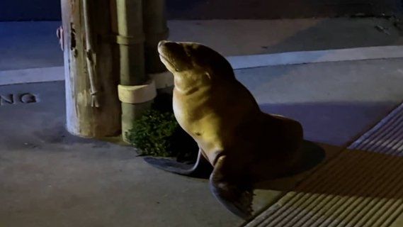 Image for twitter card