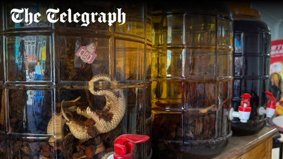 Image for twitter card