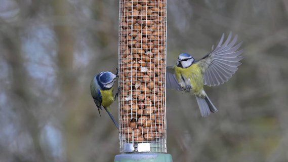 Image for twitter card