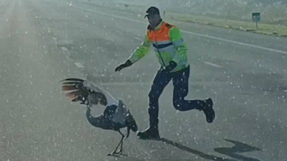 Image for twitter card