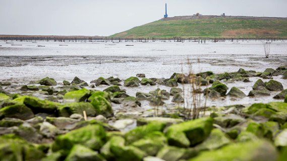 Image for twitter card